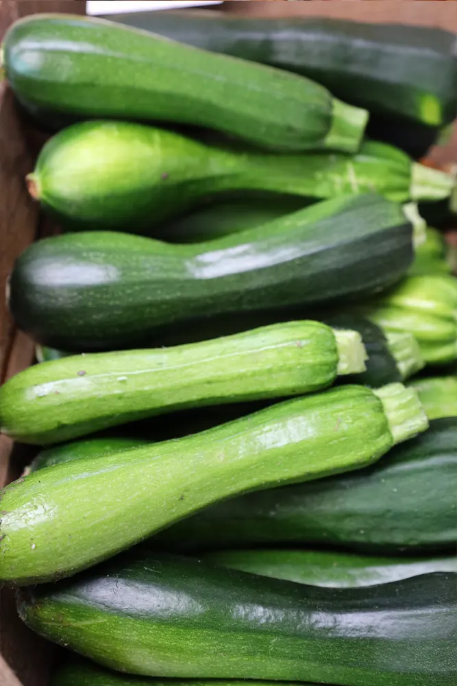 Courgette