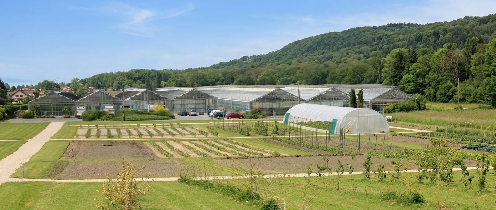 Horticulture Verdonnet Bouchet